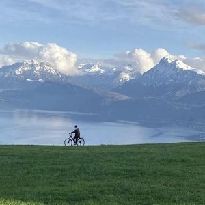 91视频网站入口
