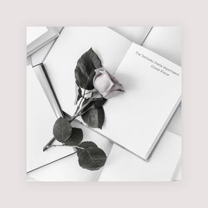 91视频网站入口
